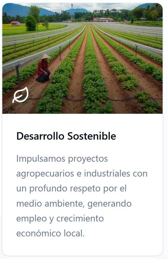 Desarrollo Sostenible